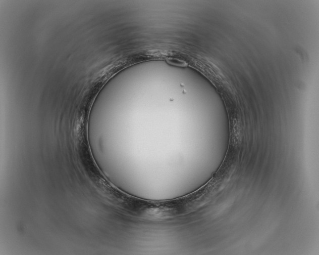 X0000113160364200909181816