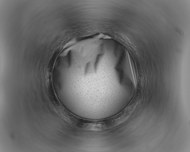 X0000113160366200909181816