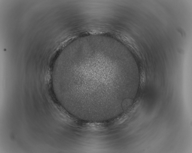 X0000113160367200909181816