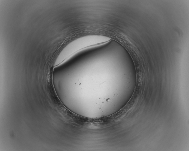 X0000113160368200909181816