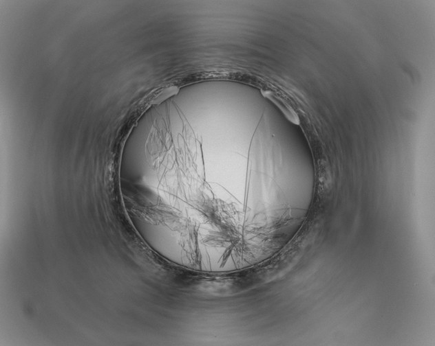 X0000113160369200909181816