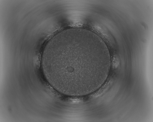 X0000113160370200909181816