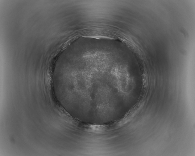 X0000113160371200909181816