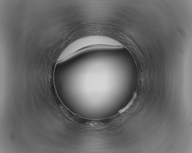 X0000113160372200909181816