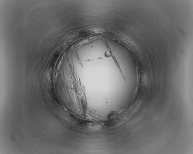 X0000113160373200909181816