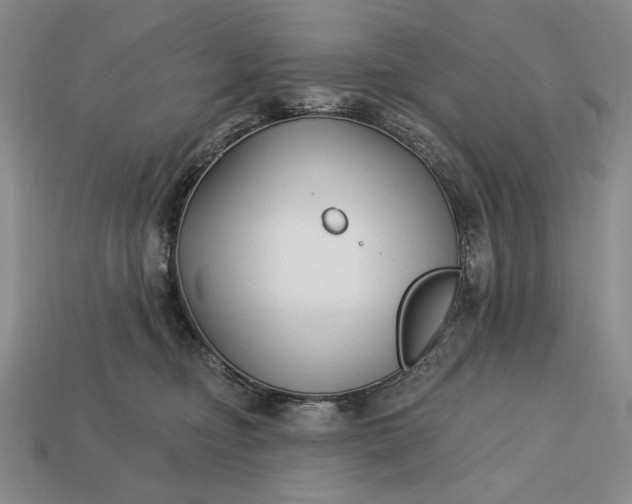 X0000113160374200909181816