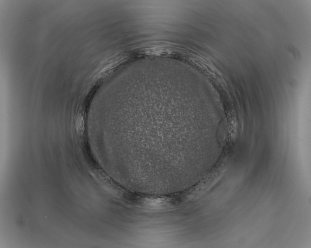 X0000113160375200909181816