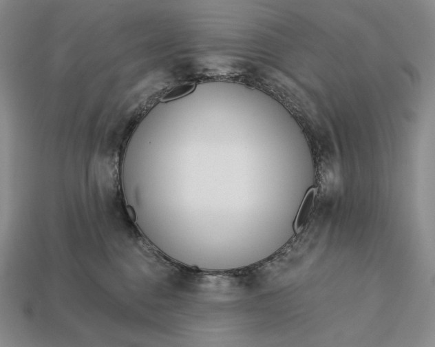 X0000113160376200909181816