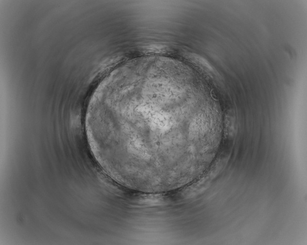 X0000113160377200909181816