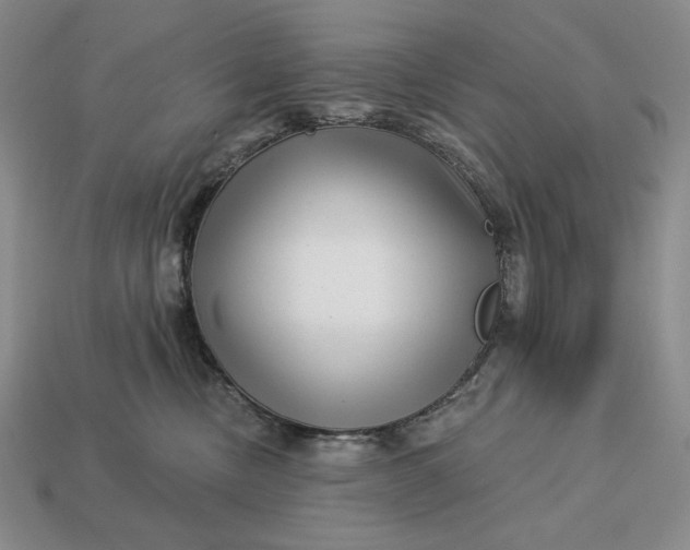 X0000113160378200909181816