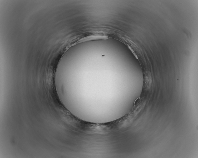 X0000113160379200909181816