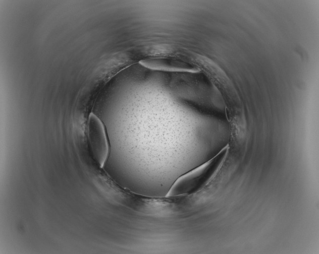 X0000113160380200909181816