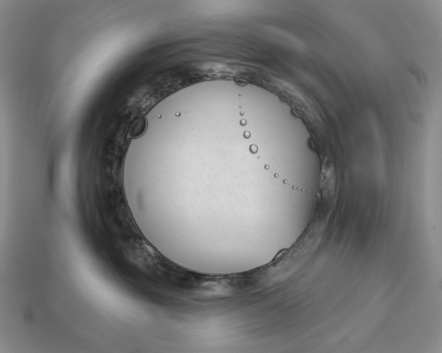 X0000113160381200909181816