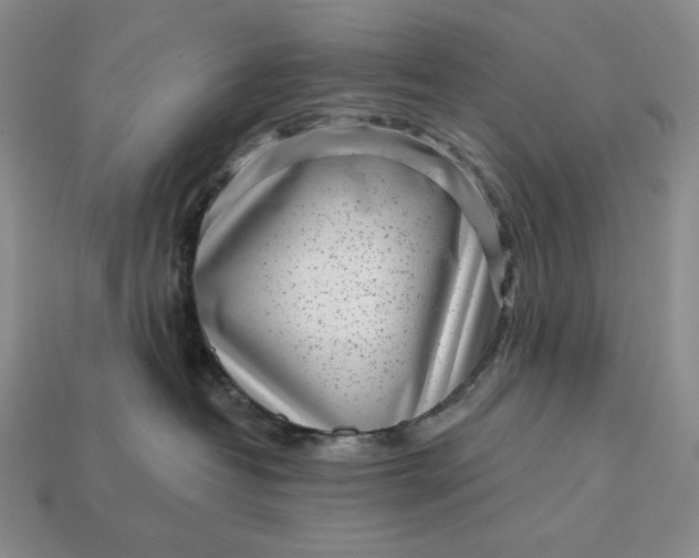 X0000113160382200909181816