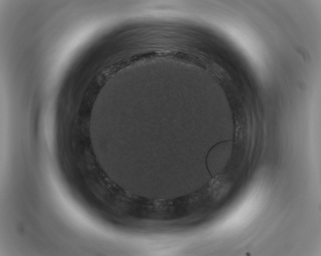 X0000113160383200909181816