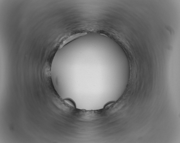 X0000113160384200909181816