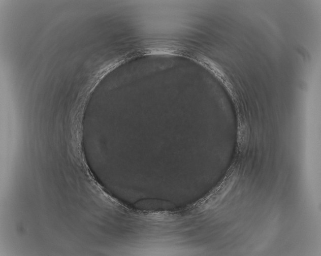 X0000113160385200909181816