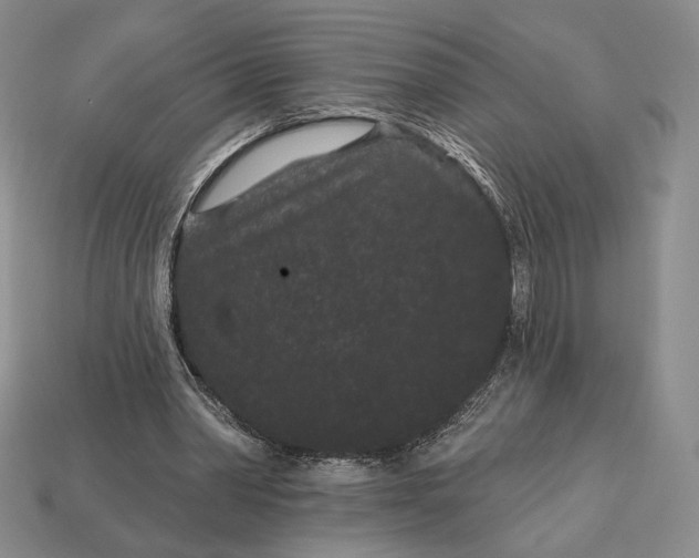 X0000113160390200909181815