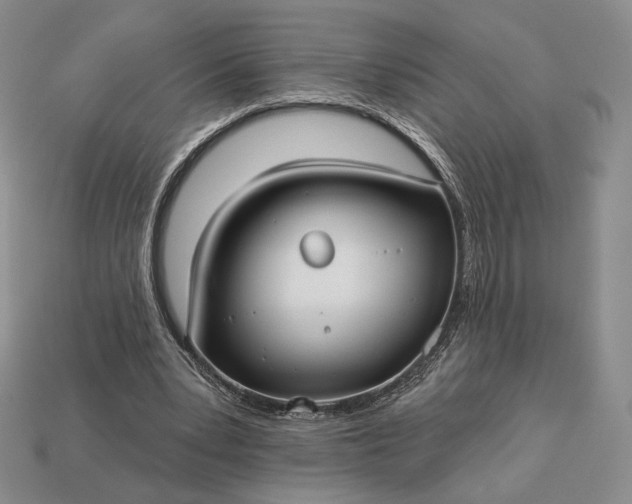 X0000113160391200909181815