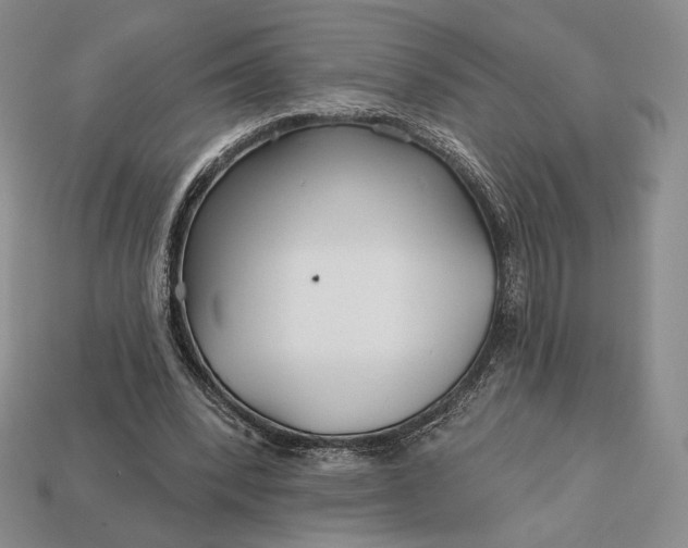 X0000113160392200909181815