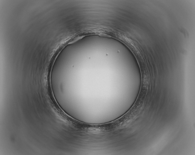 X0000113160394200909181815