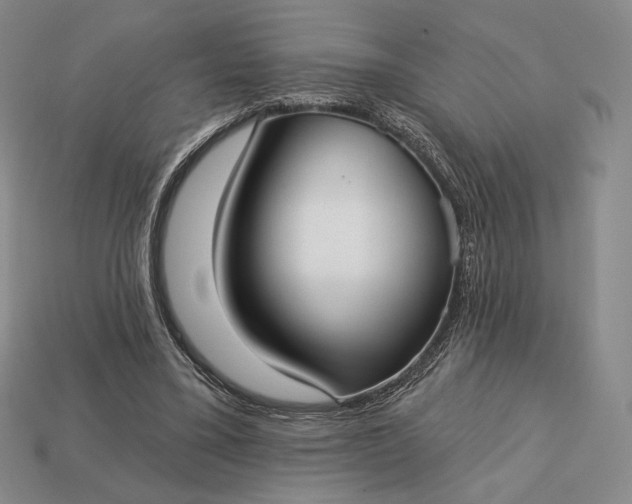 X0000113160395200909181815