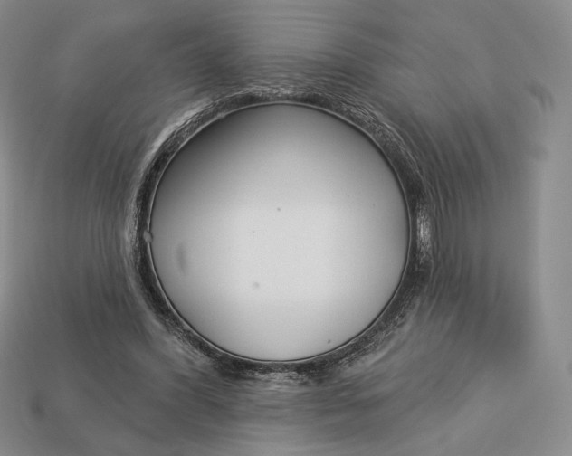 X0000113160396200909181815