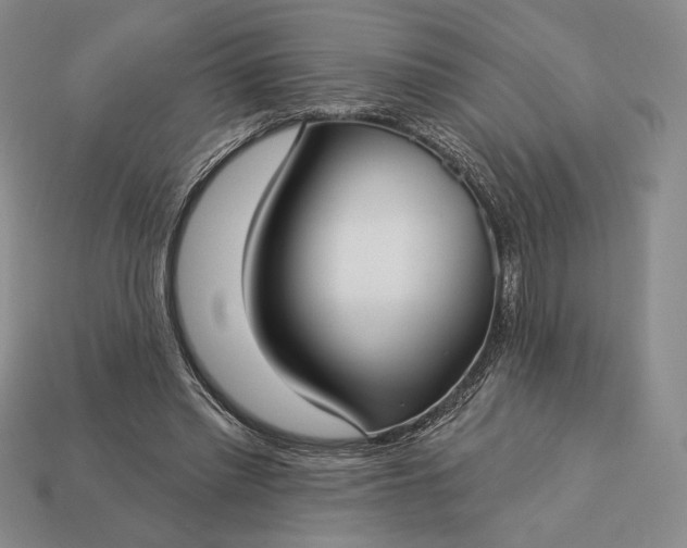 X0000113160397200909181815