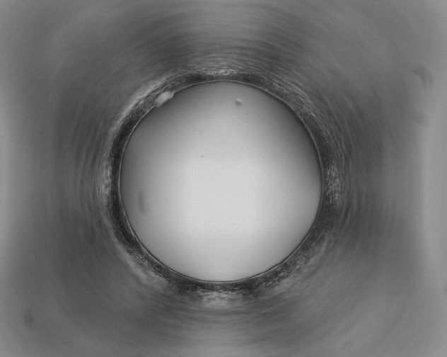 X0000113160400200909181815