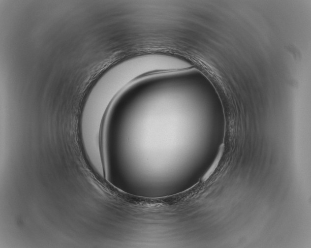 X0000113160401200909181815