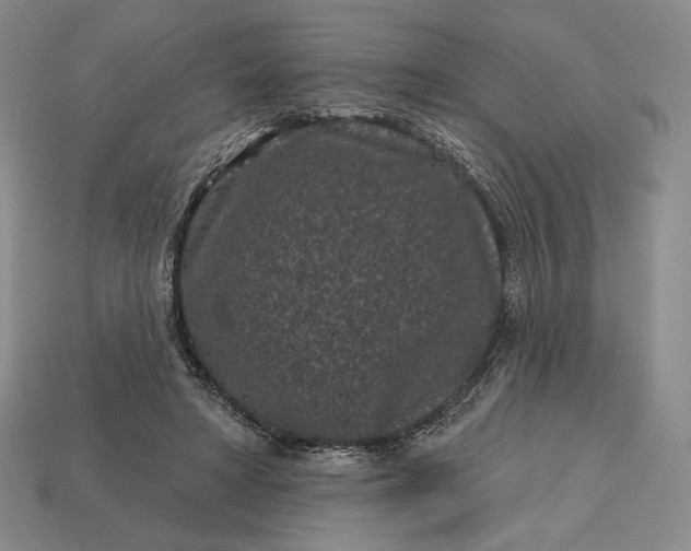 X0000113160402200909181815