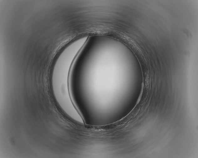 X0000113160403200909181815