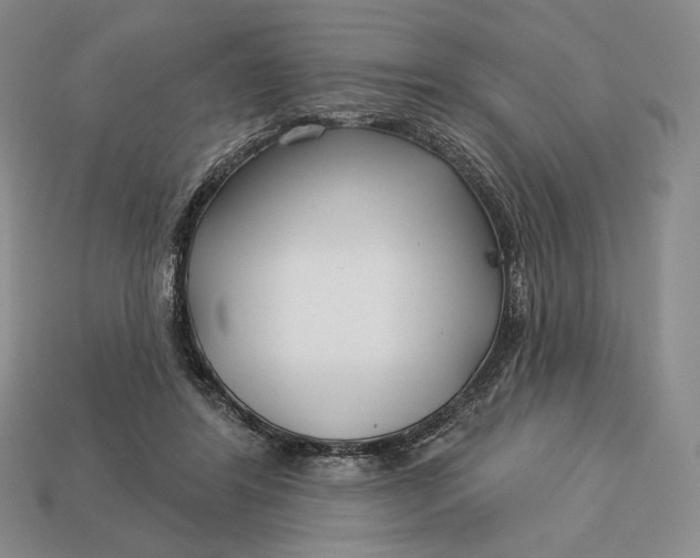 X0000113160404200909181815