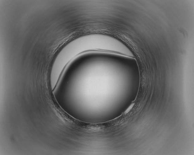 X0000113160405200909181815