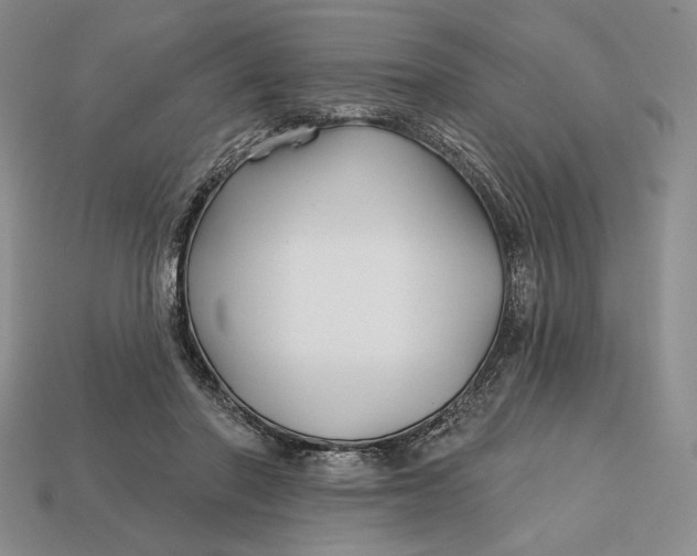 X0000113160406200909181815