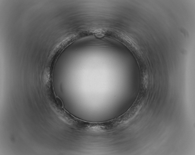 X0000113160407200909181815