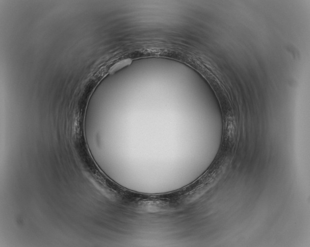 X0000113160408200909181815