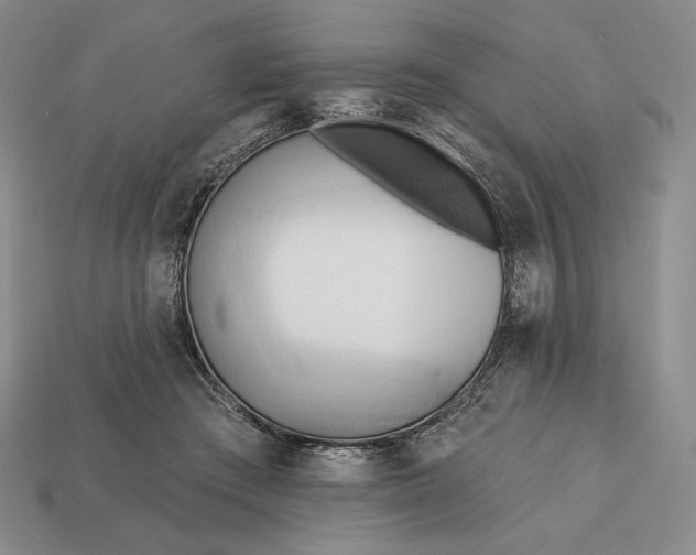 X0000113160409200909181815