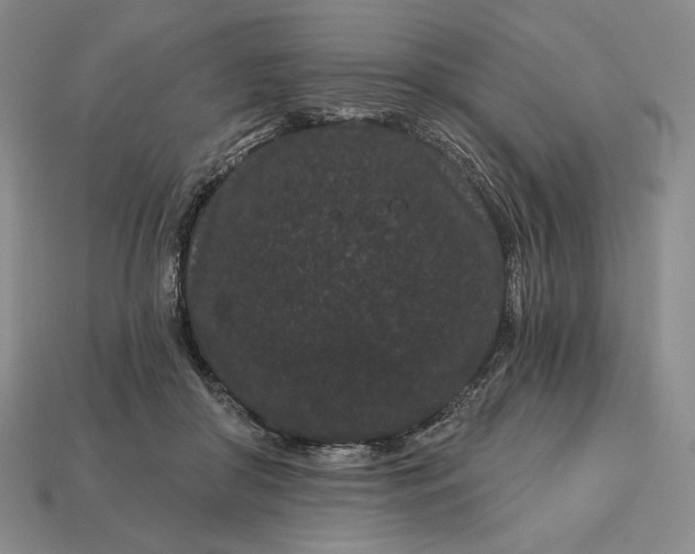 X0000113160410200909181815