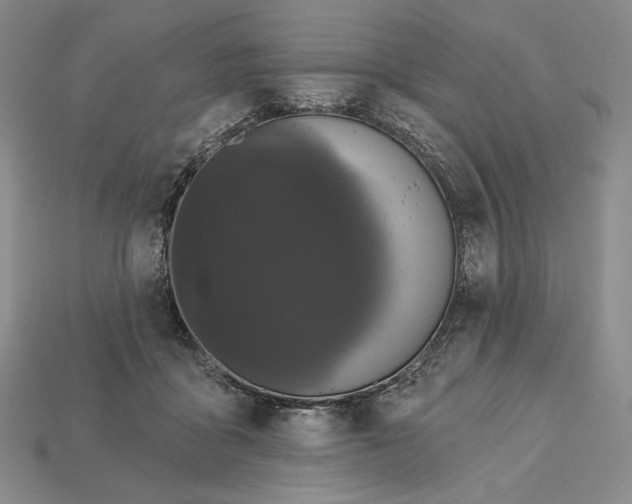 X0000113160411200909181815