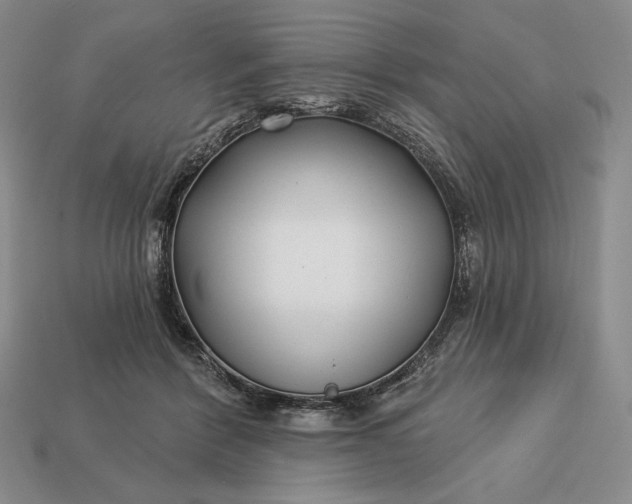 X0000113160412200909181815