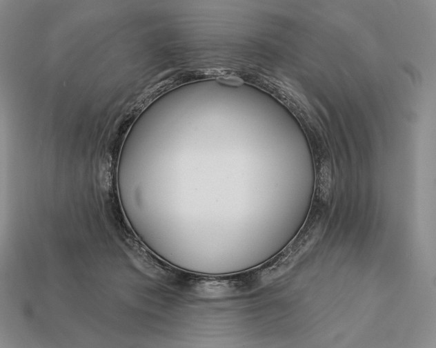 X0000113160413200909181815