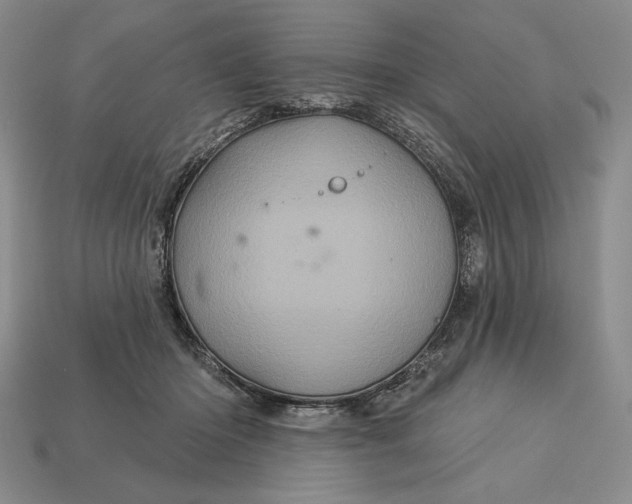 X0000113160414200909181815