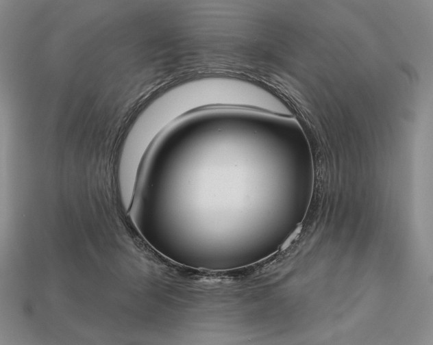 X0000113160415200909181815