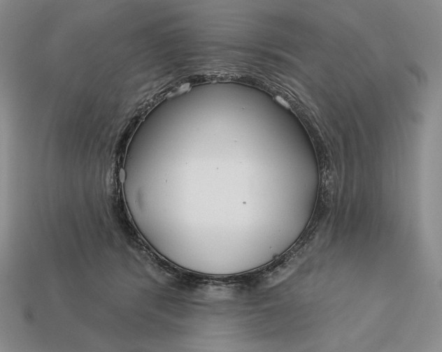 X0000113160416200909181815