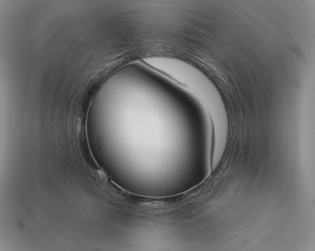 X0000113160417200909181815