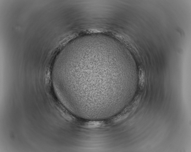 X0000113160418200909181815