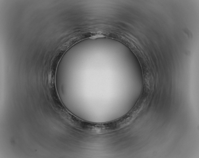 X0000113160420200909181815