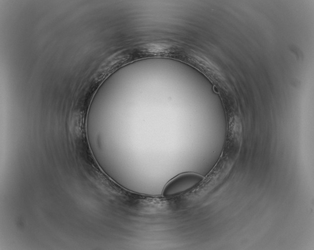 X0000113160421200909181815