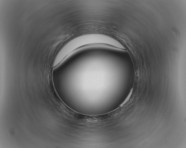 X0000113160423200909181815